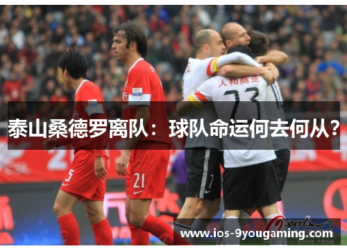 泰山桑德罗离队：球队命运何去何从？