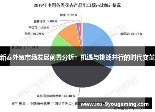 新春外贸市场发展前景分析：机遇与挑战并行的时代变革