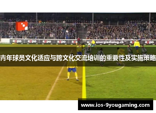 青年球员文化适应与跨文化交流培训的重要性及实施策略
